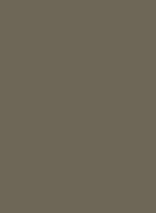 Farrow & Ball Estate Emulsion Archivton - Pantalon 221 - 5l