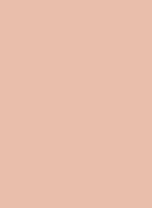 Farrow & Ball Exterior Eggshell Archive Colour - Pink Cup 9801 - 0,75l