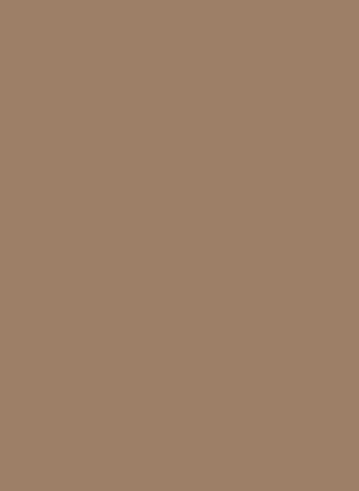 Farrow & Ball Dead Flat Archiv colour - Tack Room Door G6 - 5l