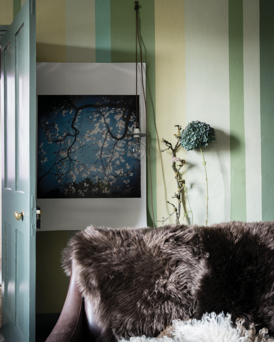 Farrow & Ball Estate Emulsion - 0,1l - Breakfast Room Green 81