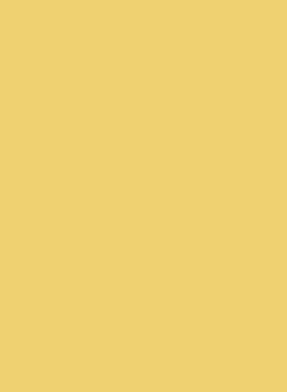 Little Greene Absolute Matt Emulsion Sample Pot - Indian Yellow 335 - 0,06l