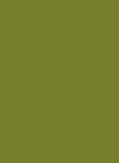 Little Greene Masonry Paint - Citrine 71 - 5l