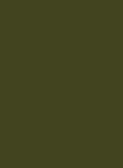 Little Greene Masonry Paint - Olive Colour 72 - 5l