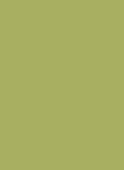 Little Greene Masonry Paint - Boxington 84 - 5l