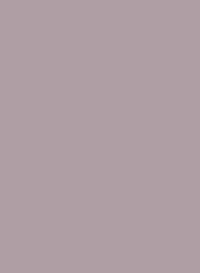 Paint & Paper Library Architects All Surface Primer - Lady Char's Lilac 368 - 0,75l