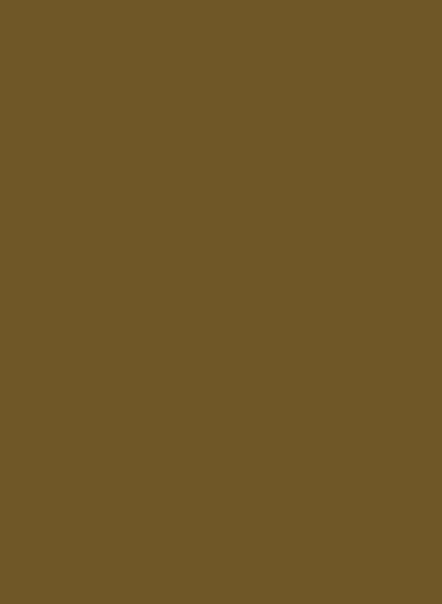 Little Greene Absolute Matt Emulsion - Light Bronze Green 123 - 0,25l