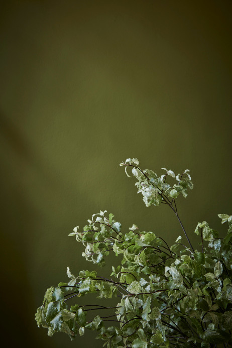 Little Greene Intelligent Matt Emulsion - Citrine 71 - 1l