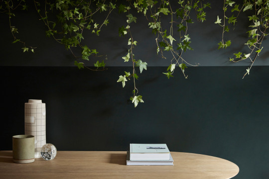 Little Greene Absolute Matt Emulsion - Obsidian Green 216 - 1l