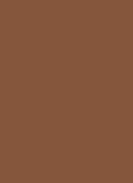 Little Greene Intelligent Satinwood - Muscovado 343 - 1l