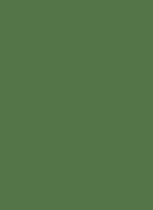 Little Greene Intelligent Matt Emulsion Archive Colour - 1l - Brilliant Green 127