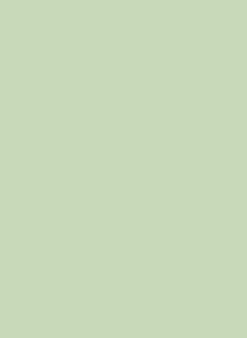 Little Greene Intelligent Matt Emulsion Archive Colour - Cupboard Green 201 - 2,5l