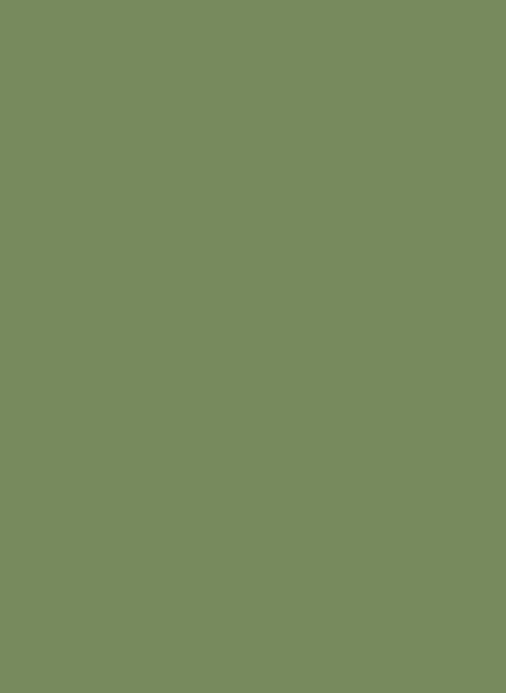 Little Greene Intelligent Matt Emulsion Archive Colour - Light Brunswick Green 128 - 1l