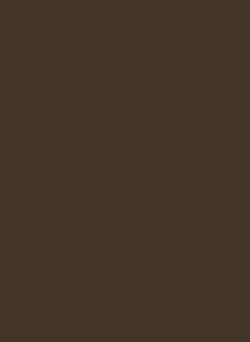 Little Greene Intelligent Matt Emulsion Archive Colour - Middle Brown 48 1l