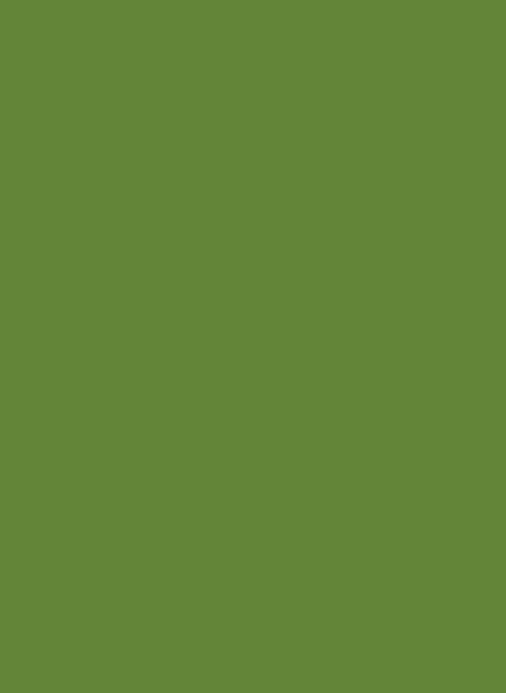 Little Greene Intelligent Floor Paint Archive Colours - Sage & Onions 288 - 2,5l