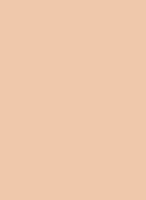 Little Greene Intelligent All Surface Primer Archive Colours - Shrimp Pink 11 - 2,5l
