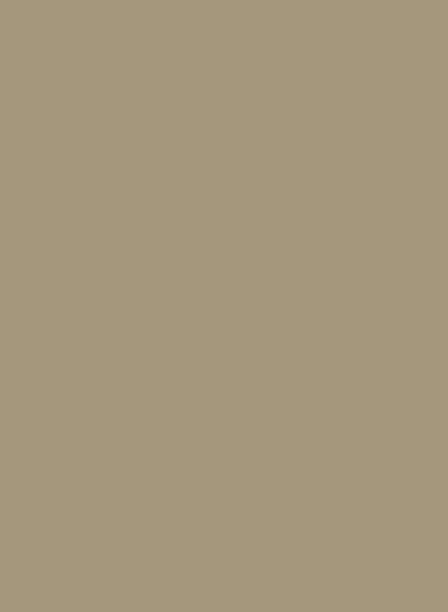 Paint & Paper Library Pure Flat Emulsion - Truffle 271 - 0,125l