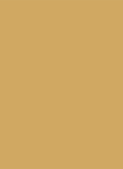 Zoffany True Matt - 5l - Vermeer Yellow