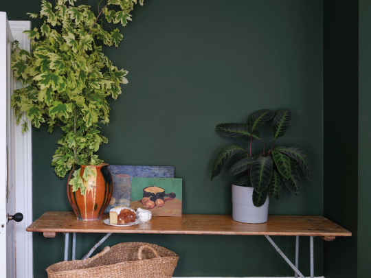 Farrow & Ball Estate Emulsion Archivton - Duck Green W55 - 5l