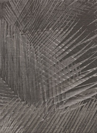 Tropische Palmen Tapete Shield von Arte - Braun