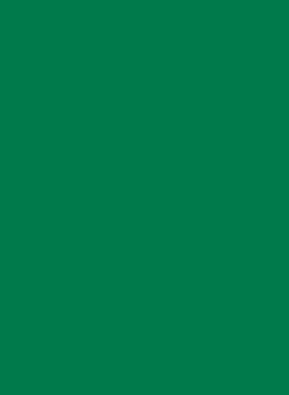 Flamant Lacryl-PU Schultafellack 258 - 3l brillantgrün 3l