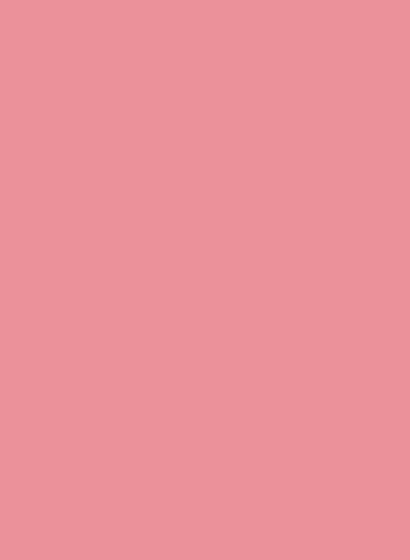 Brillux Lacryl-PU Schultafellack 258 - 0,75l Pink 0,75l