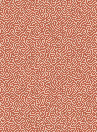 Cole & Son Papier peint Vermicelli - Coral
