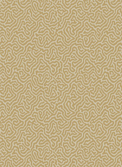 Cole & Son Wallpaper Vermicelli Buff/ Gold