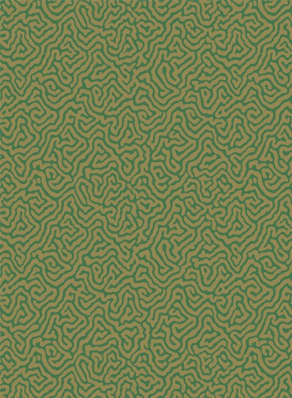 Cole & Son Wallpaper Vermicelli Green/ Gold
