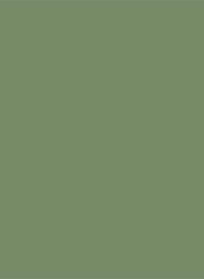 Sanderson Active Emulsion - Devon Green - 0,125l