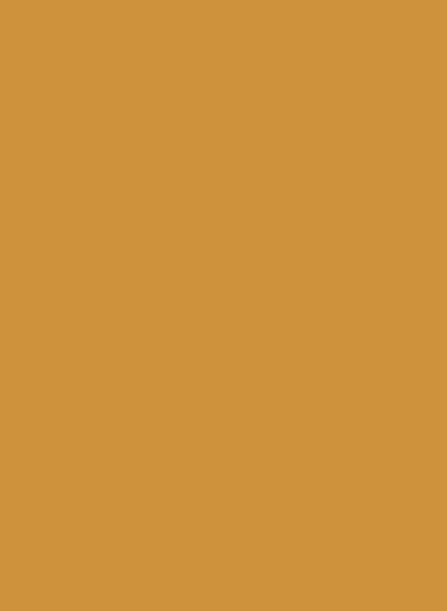 Estate Emulsion - 2,5l - India Yellow 66