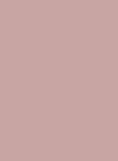 Little Greene Absolute Matt Emulsion - Hellebore 275 - 0,25l