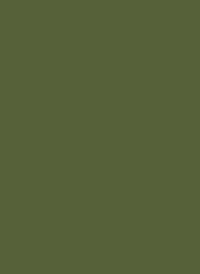 Little Greene Absolute Matt Emulsion - Jewel Beetle 303 - 0,25l