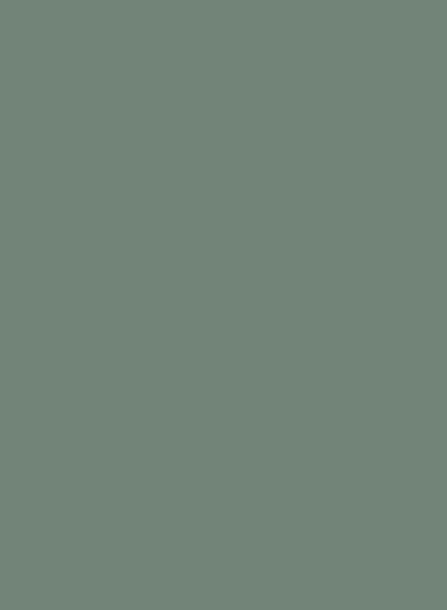 Little Greene Absolute Matt Emulsion - Ambleside 304 - 0,25l
