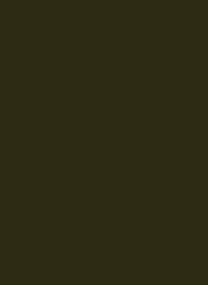 Little Greene Intelligent All Surface Primer - Invisible Green 56 - 1l