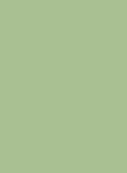 Little Greene Intelligent Matt Emulsion Paint - Pea Green 91 10l