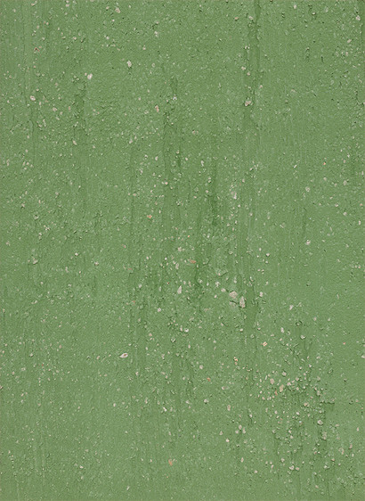 terrastone rustique - 10 kg - indisch dunkelgrün