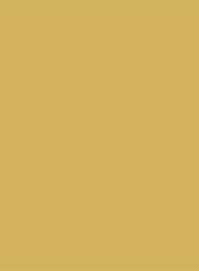 Sanderson Active Emulsion - 5l - Woodland Yellow