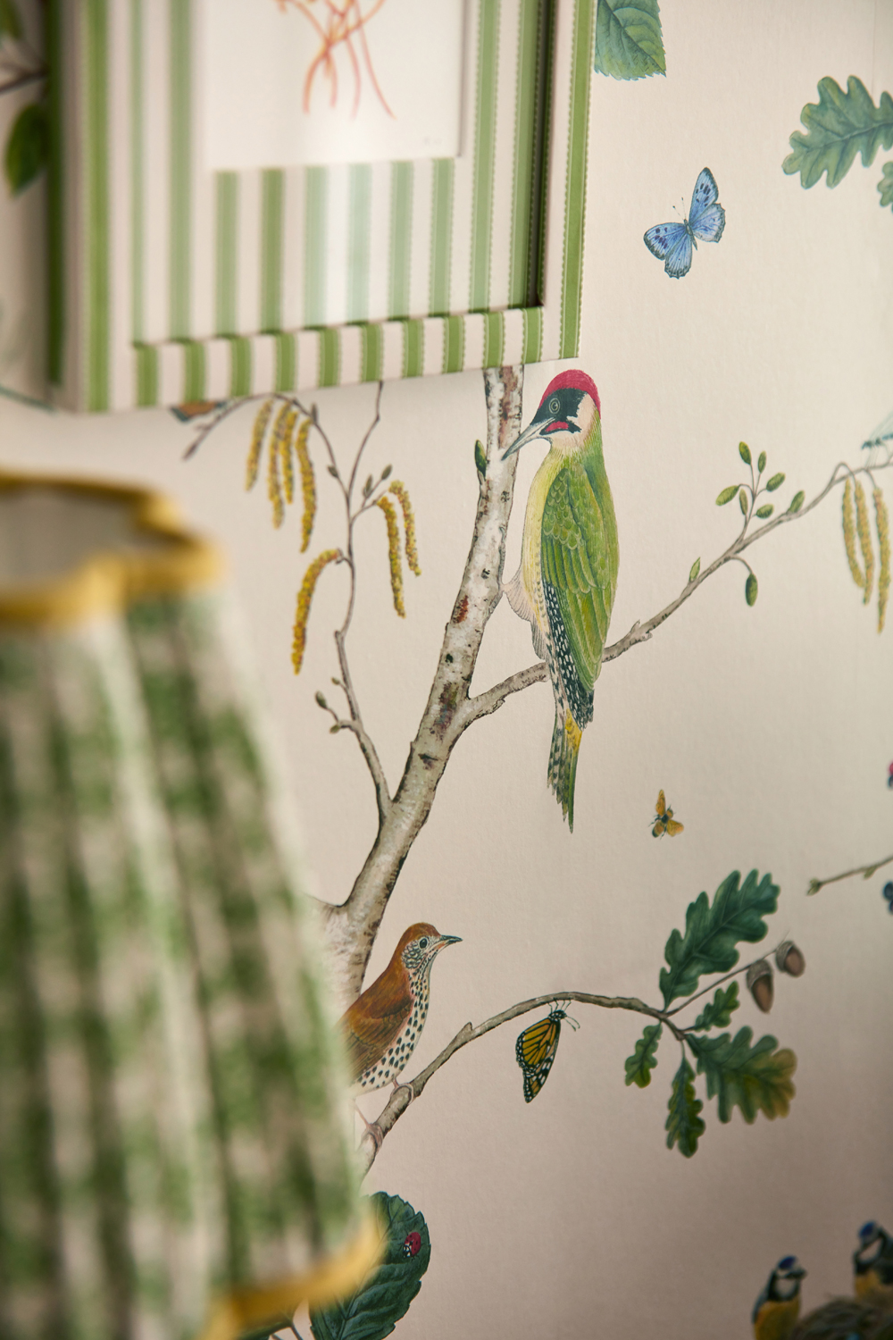 Sanderson Wallpaper Woodland Chorus2466.6