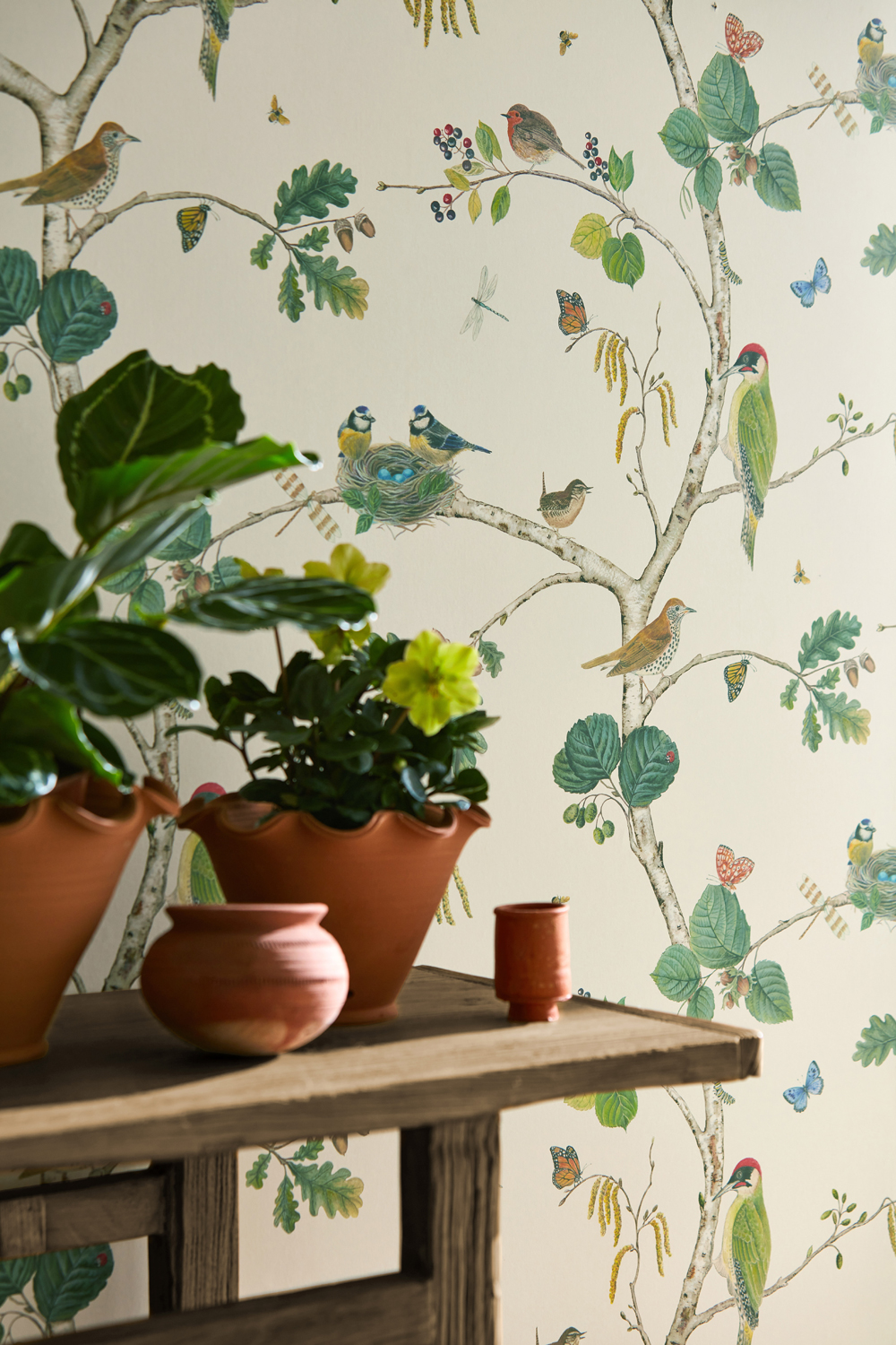 Sanderson Wallpaper Woodland Chorus2466.6