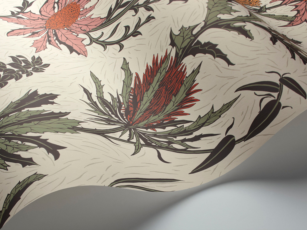 Cole & Son Wallpaper Thistle4069