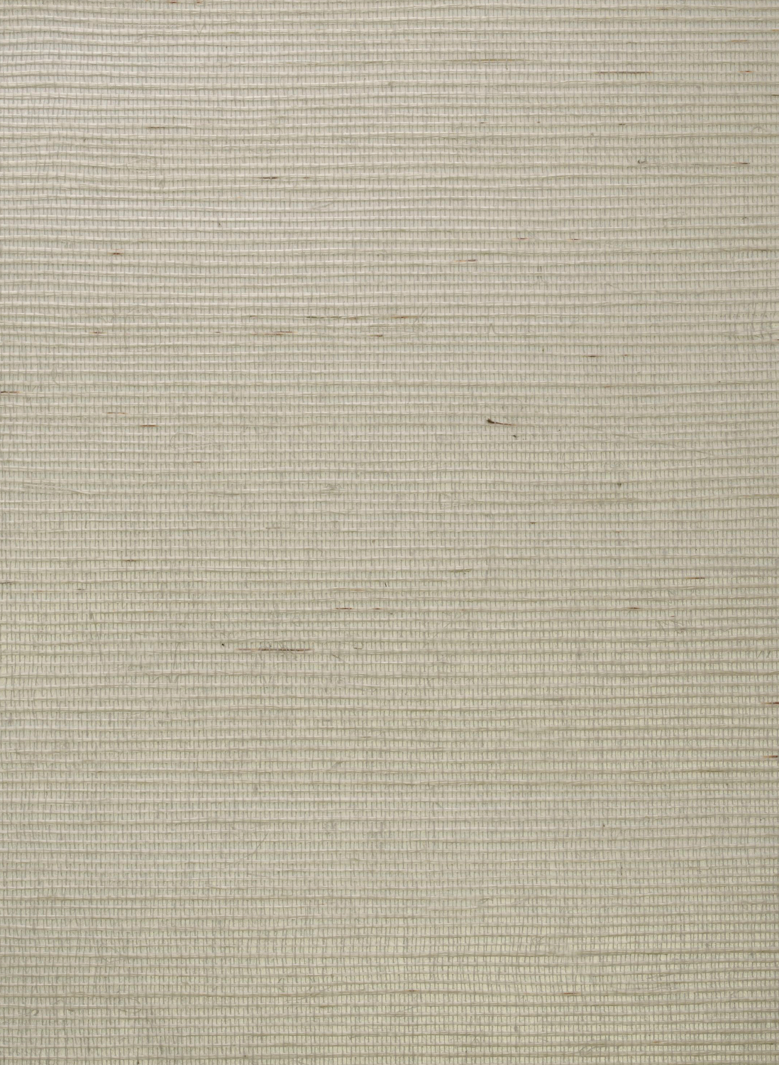 Andrew Martin Wallpaper Kongo-8311