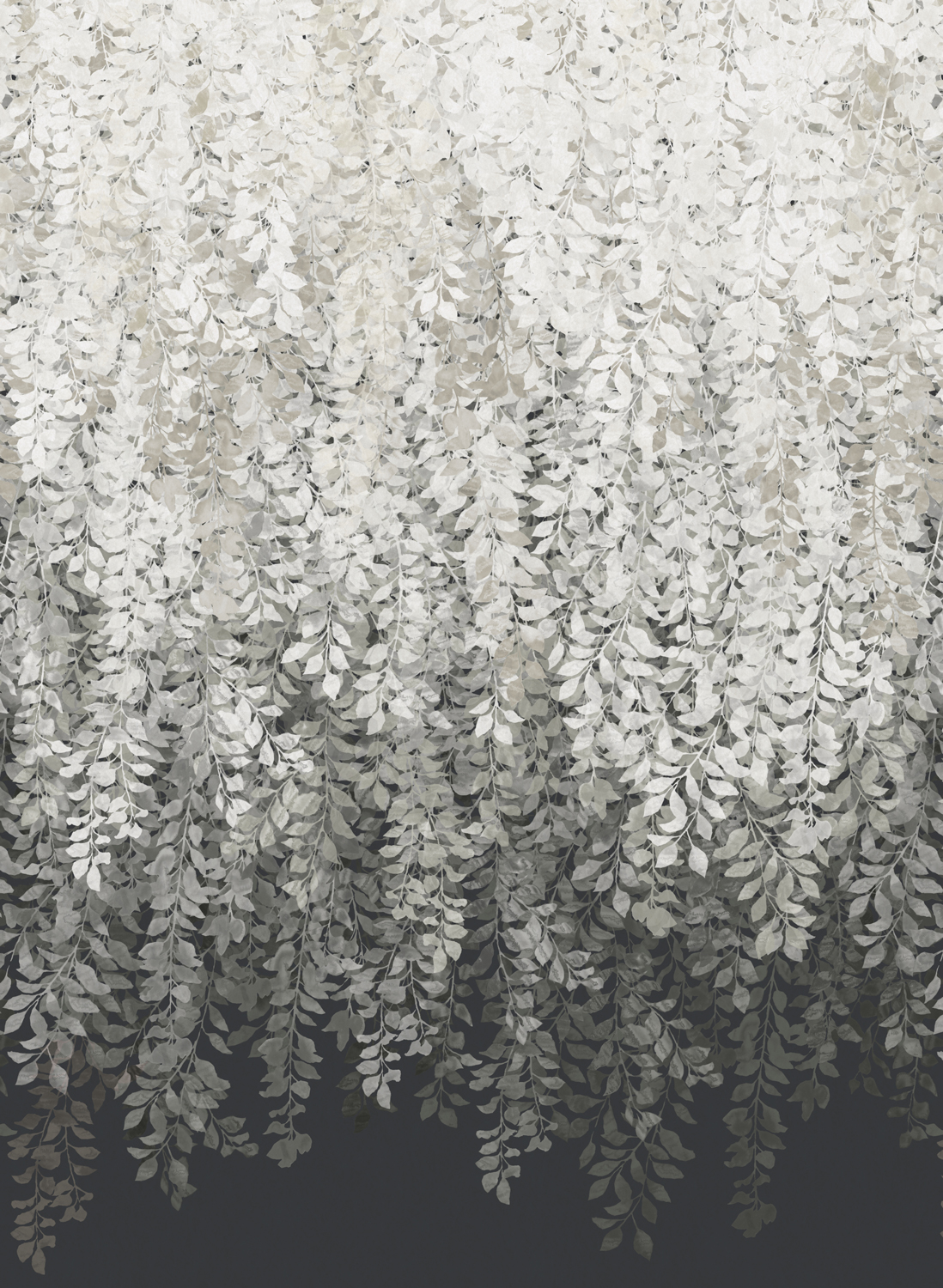 Zoffany Wallpaper Tyndall Vine Black8925.1